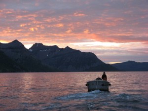 port o'brien via lily allen